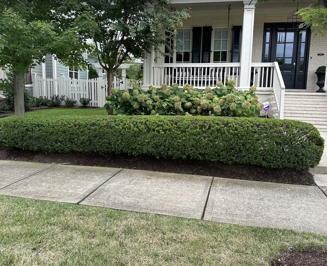 Beautifully maintained front yard landscaping by Gonzalez Landscaping